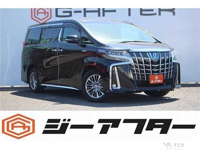 2020 Toyota Alphard G