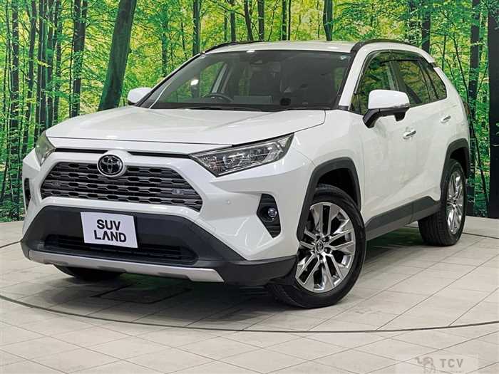 2019 Toyota RAV4