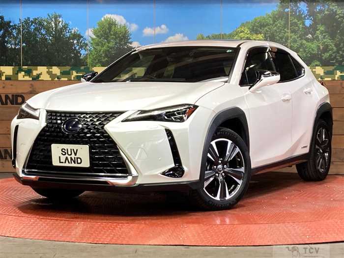 2019 Lexus Other