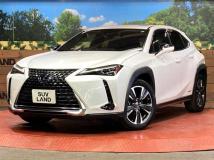 2019 Lexus Other