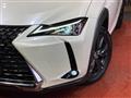 2019 Lexus Other