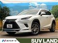 2019 Lexus NX