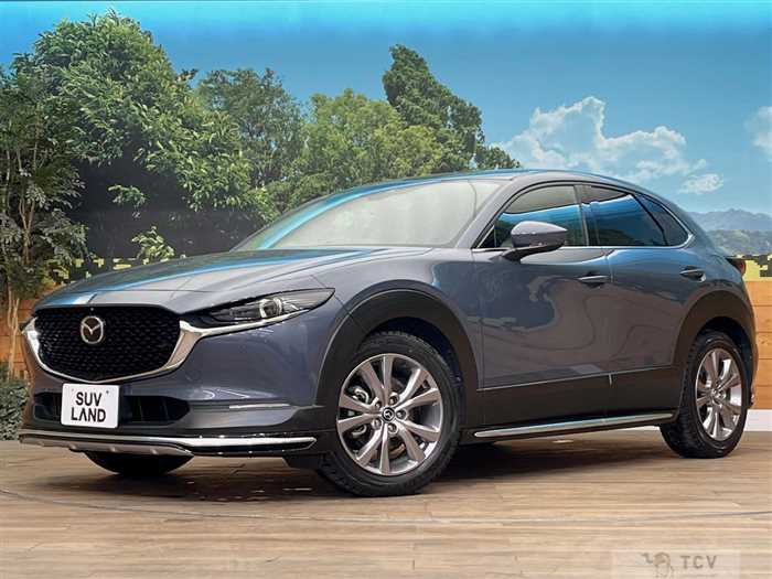 2020 Mazda Mazda Others