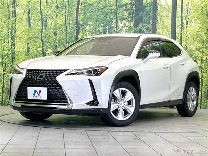 2021 Lexus Other