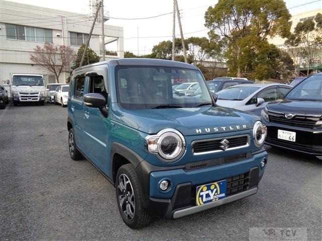 2020 Other All Other All