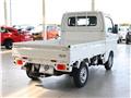 2025 Suzuki Carry Truck