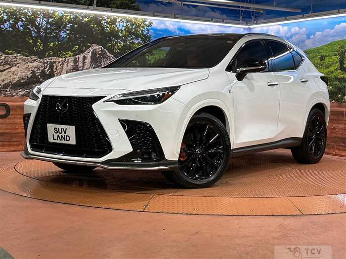 2023 Lexus NX