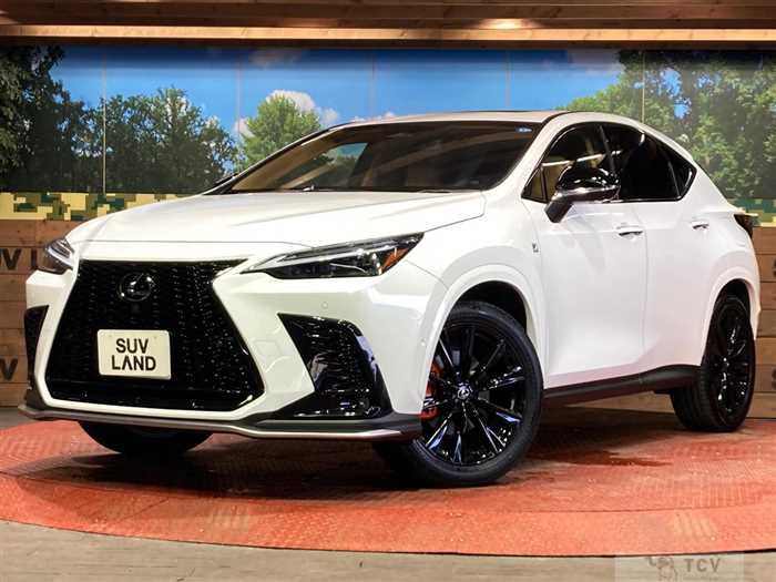 2025 Lexus NX