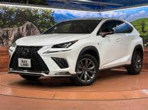 2019 Lexus NX
