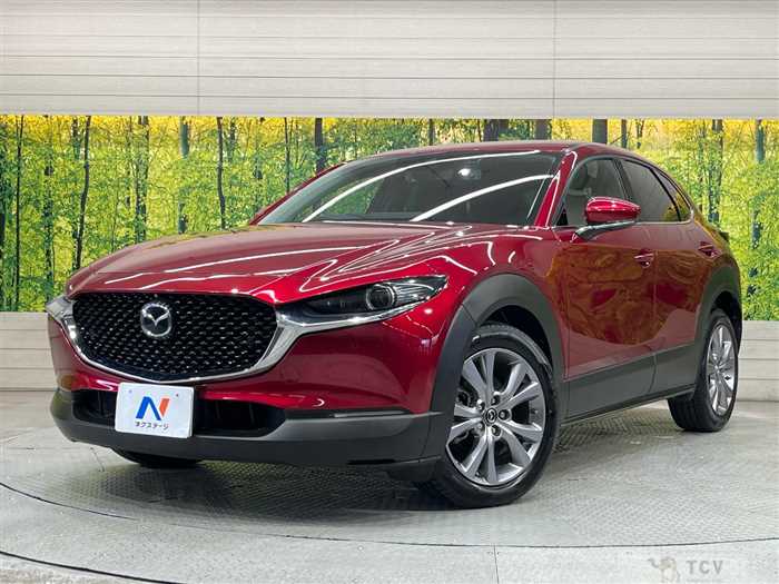 2019 Mazda Mazda Others