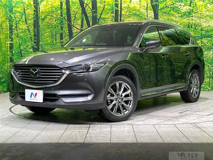 2019 Mazda CX-8