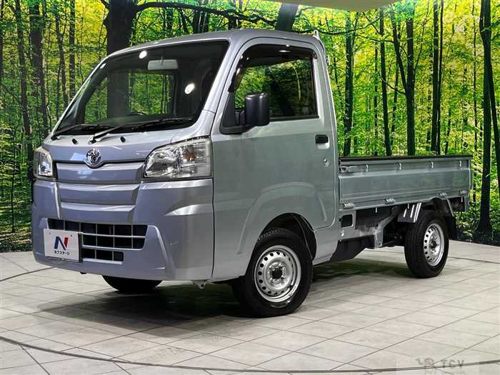 2018 Toyota PIXIS TRUCK
