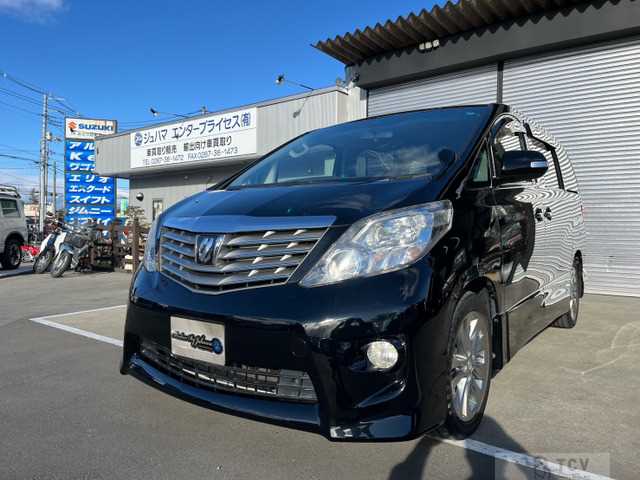 2010 Toyota Alphard G