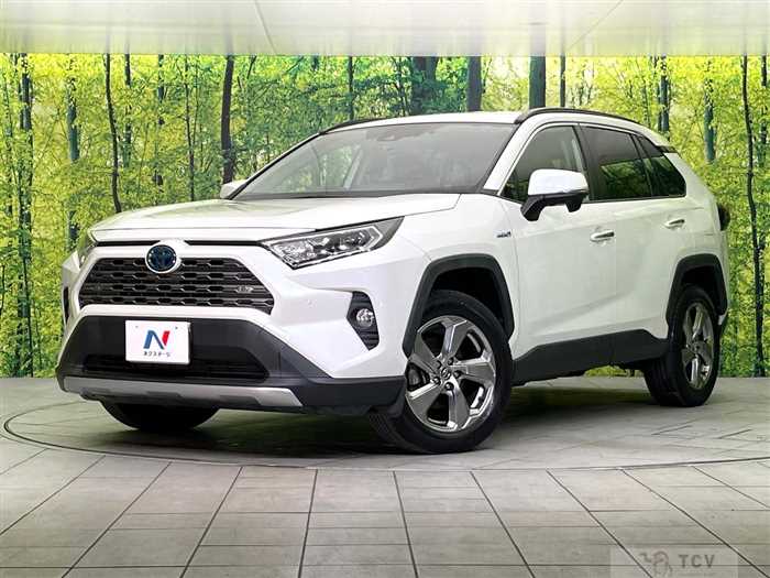 2019 Toyota RAV4