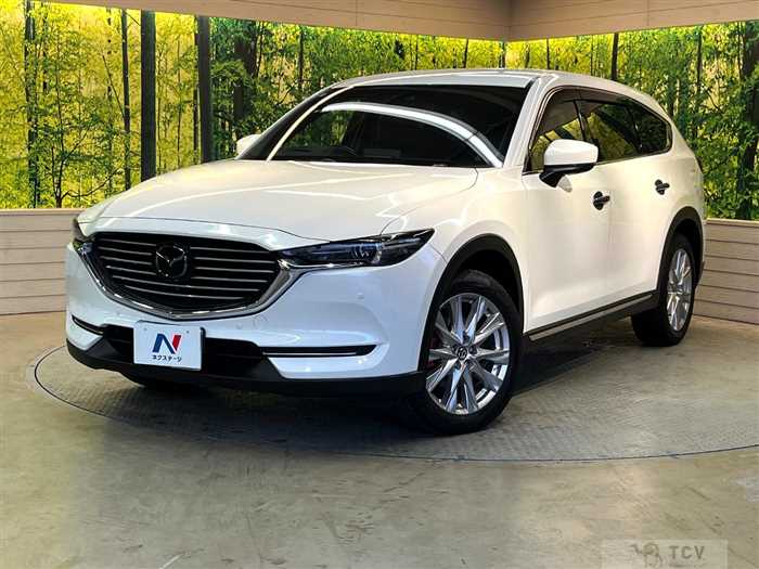 2018 Mazda CX-8