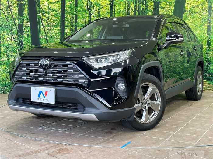 2020 Toyota RAV4