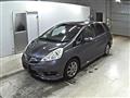 2013 Honda Fit shuttle