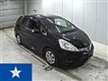 2013 Honda Fit shuttle
