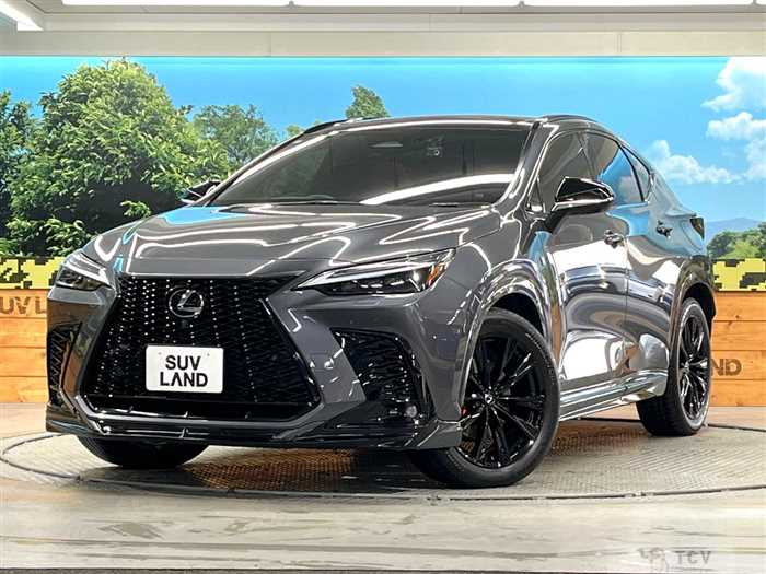 2023 Lexus NX