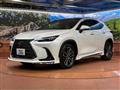 2024 Lexus NX