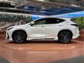 2024 Lexus NX
