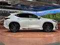 2024 Lexus NX