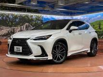 2024 Lexus NX
