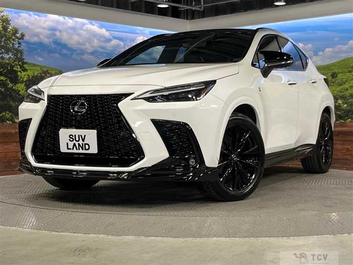 2023 Lexus NX