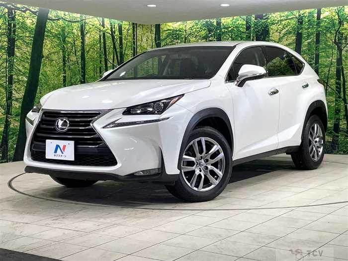 2017 Lexus NX