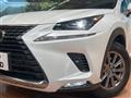 2018 Lexus NX