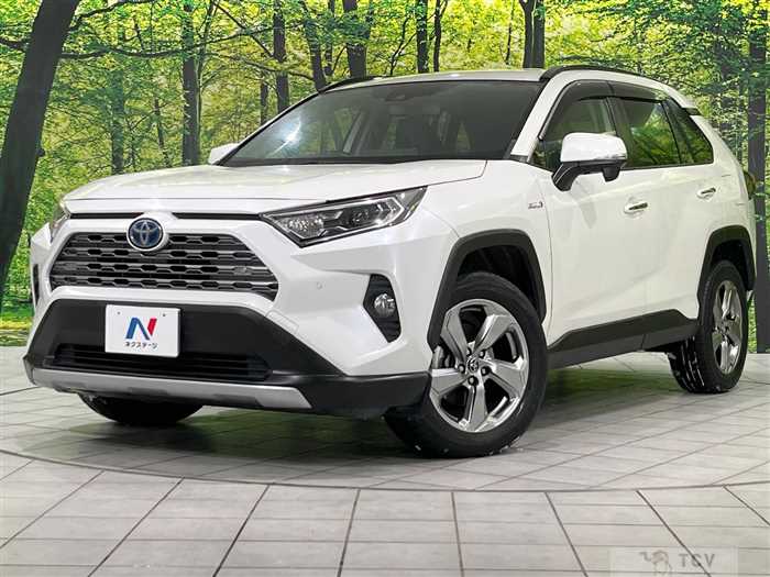 2019 Toyota RAV4