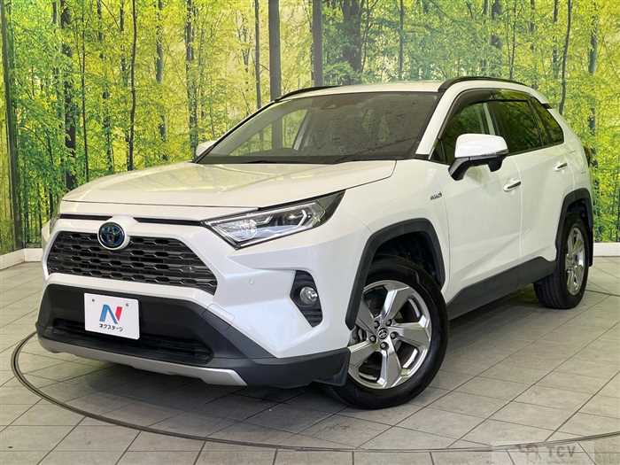 2019 Toyota RAV4