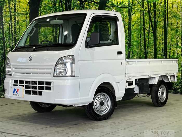 2018 Suzuki Carry Truck