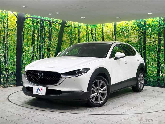 2019 Mazda Mazda Others