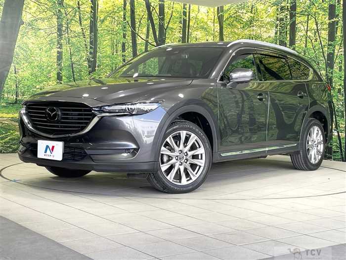 2018 Mazda CX-8