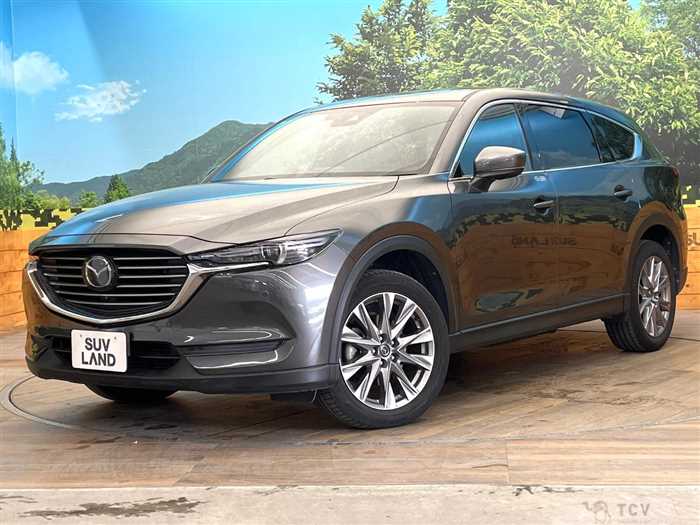 2019 Mazda CX-8