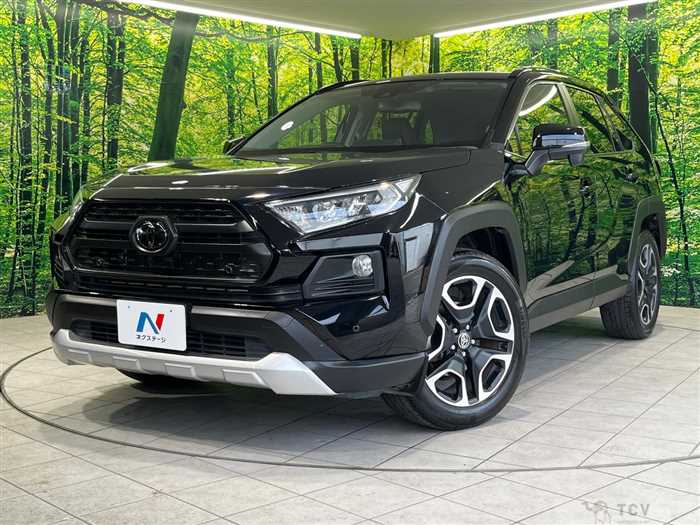 2019 Toyota RAV4