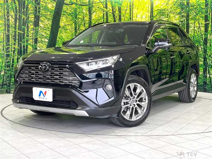 2019 Toyota RAV4