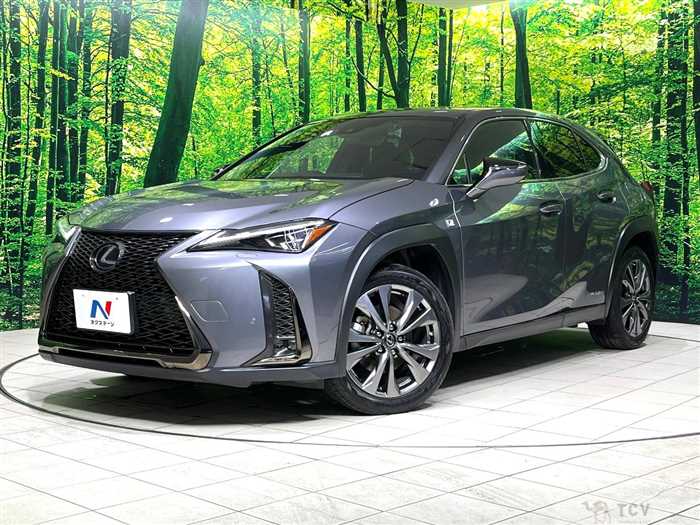 2020 Lexus Other