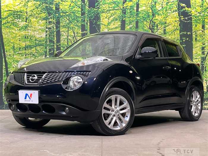 2012 Nissan Juke