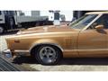1979 Ford Thunderbird