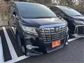 2015 Toyota Alphard G