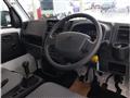 2025 Suzuki Carry Truck