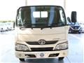 2019 Toyota Dyna Truck
