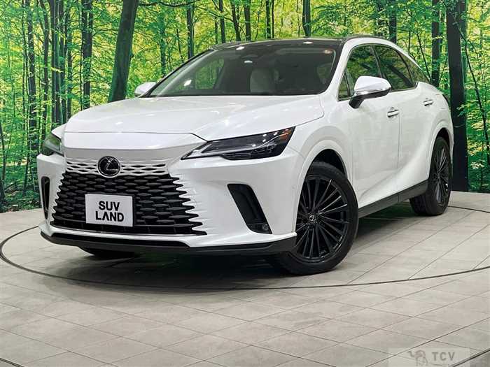 2023 Lexus RX
