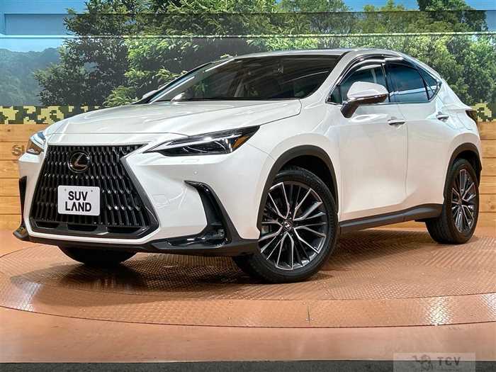 2023 Lexus NX