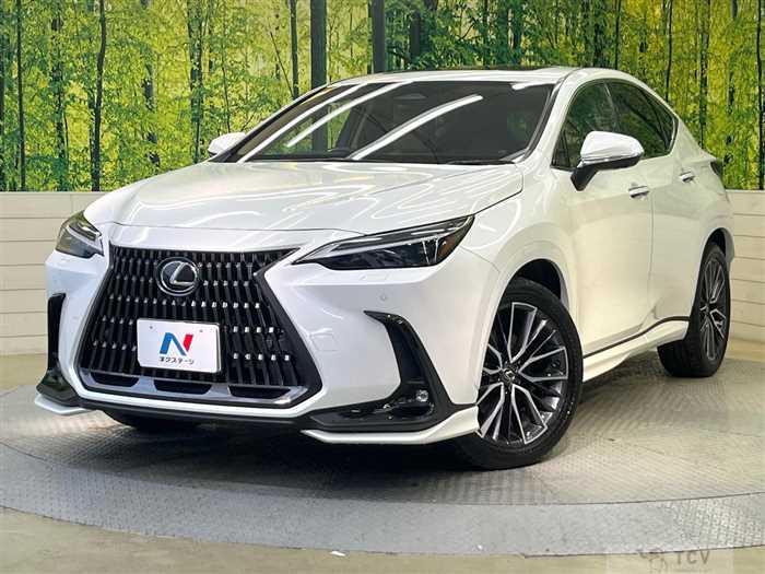 2023 Lexus NX