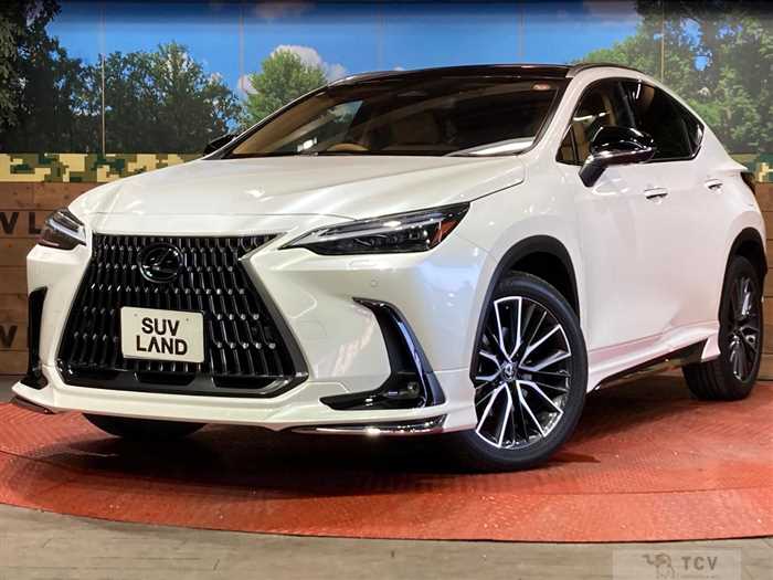 2023 Lexus NX