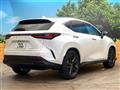 2024 Lexus NX