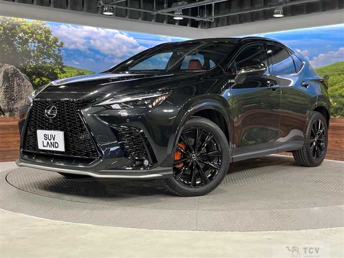 2024 Lexus NX